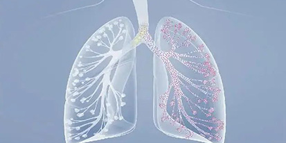 高流量呼吸治療設(shè)備注冊(cè)審查指導(dǎo)原則（2023年第26號(hào)）
