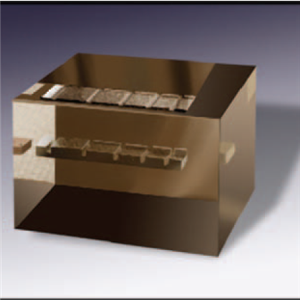 GE Lunar DXA 鋁制腰椎質(zhì)控模型