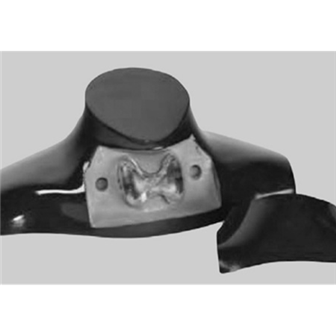 RS-542美國RSD甲狀腺模體